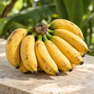 A short, lightly spotted hand of Lakatan bananas